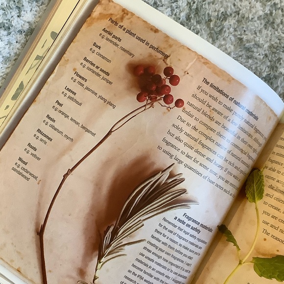 'Perfume: The Art & Craft of Fragrance' Book NWT by Karen Gilbert 144pgs - Picture 14 of 16